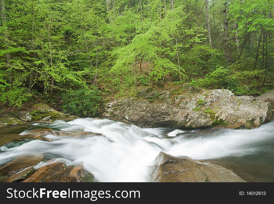 Fast flowing rapids on a stream in the forest,springtime,Smoky Mountains N.P., Tenn. Fast flowing rapids on a stream in the forest,springtime,Smoky Mountains N.P., Tenn.