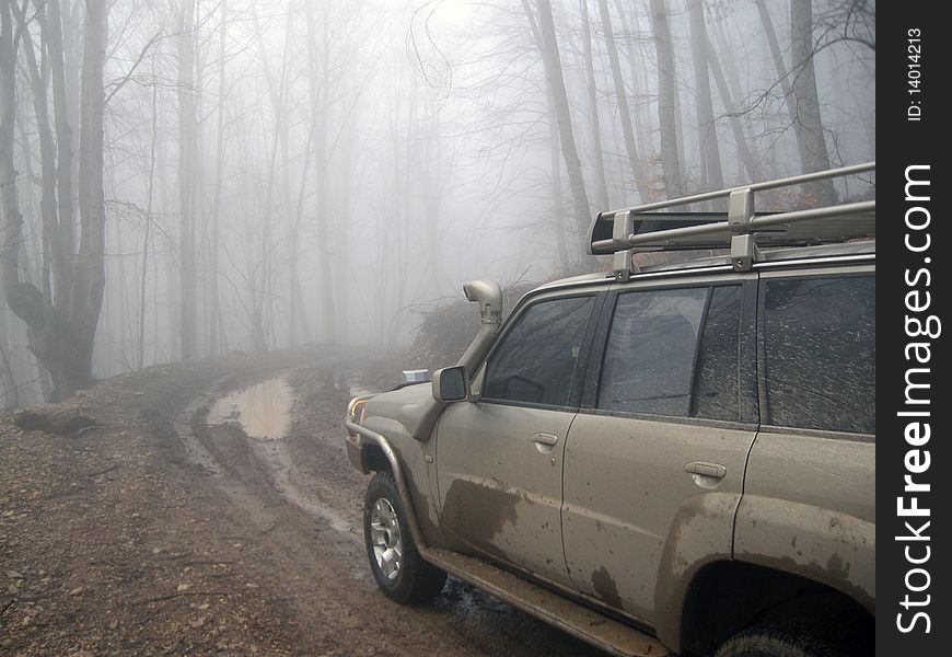 Dirty Road And 4x4 Car In Mist Forest