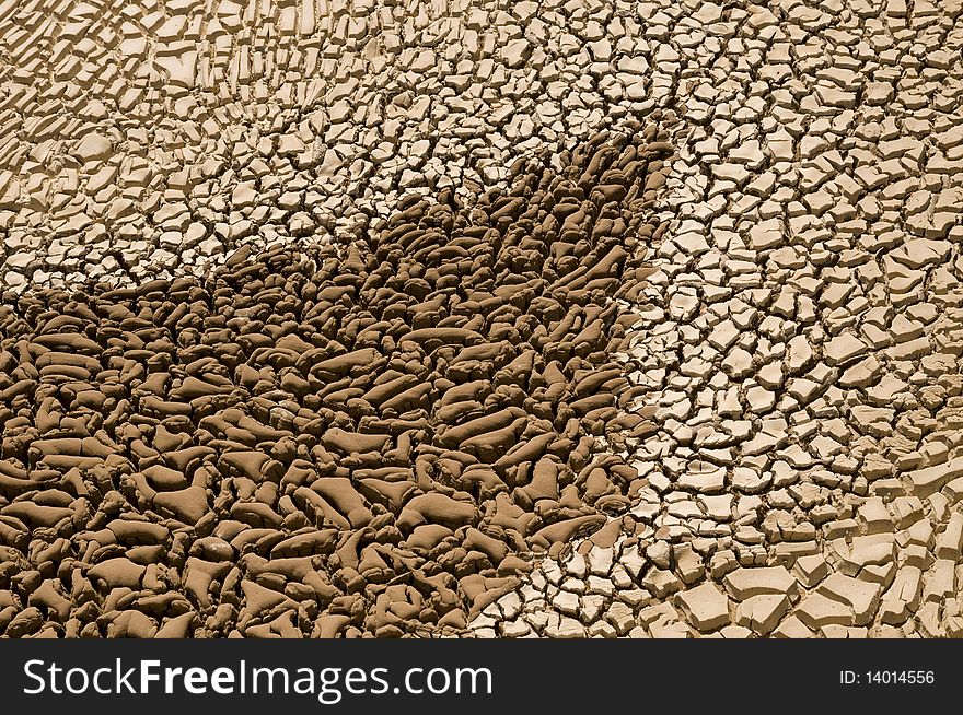 Arid Soil