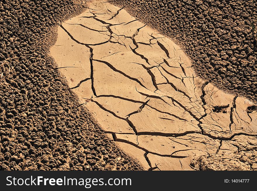 Shrinkage cracking in Arid Soil pattern of the nature