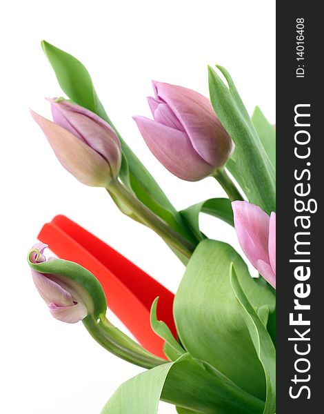 Pink Tulips in Red Watercan