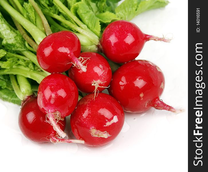 Fresh radishes on white background