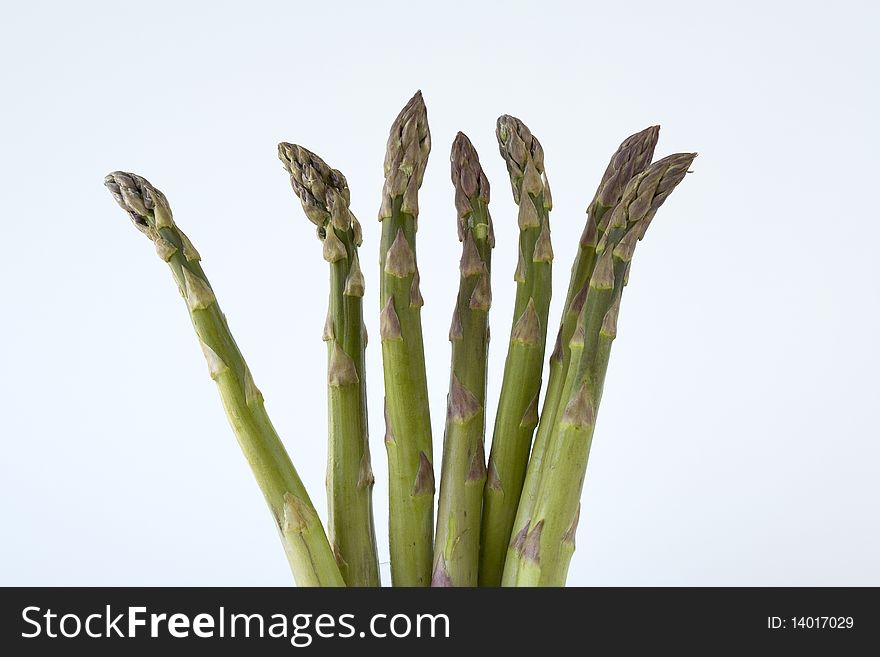 Asparagus spears up against a white background. Asparagus spears up against a white background.