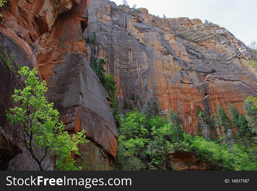 Tower walls of West Fork part of Oak Creek Canyon in Arizona.