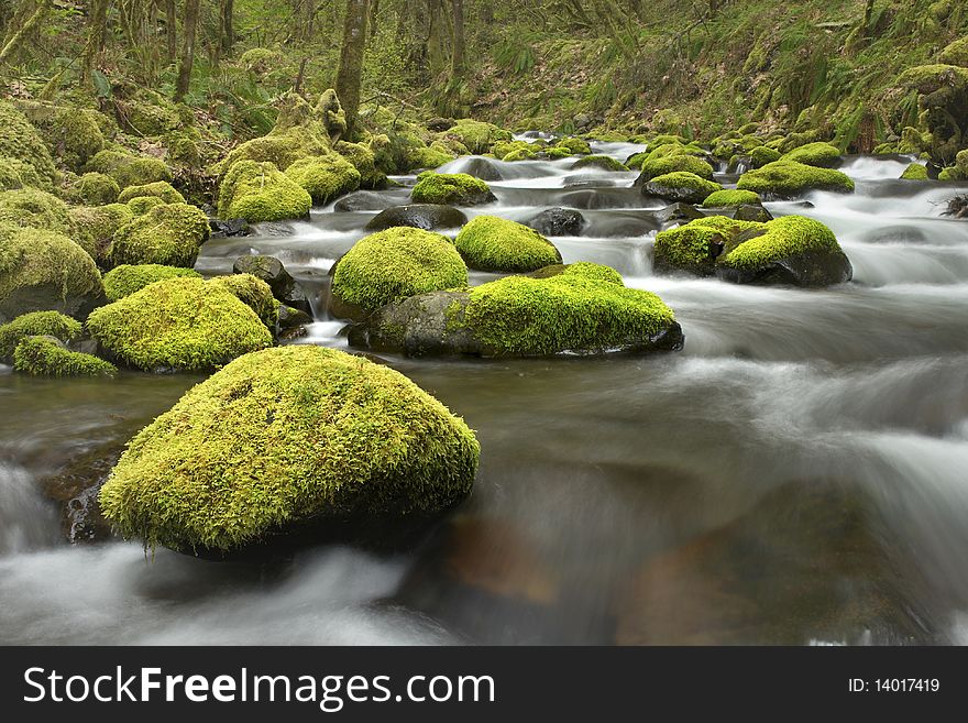 Mossy Rocks In Creek