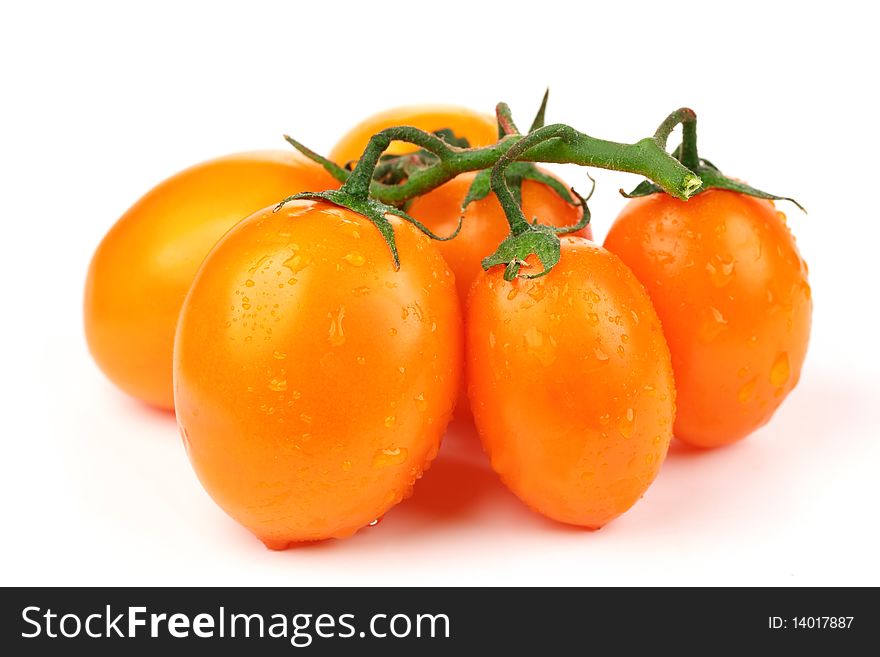 Fresh Tomatoes