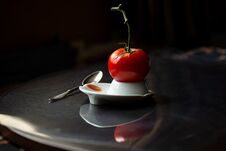 Free A Bright Red Tomato On A Branch Hatched From An Egg Royalty Free Stock Photo - 140104275