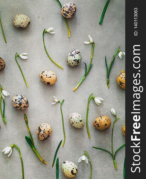 Easter background with quail eggs and snowdrop flowers. Spring background. Overhead flatlay Easter