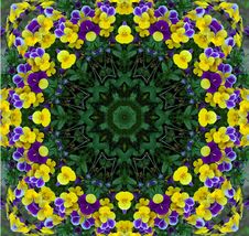 Pansy Fantasy Background Royalty Free Stock Image Pansy Fantasy Background Royalty Free Stock Image
