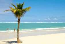 Exotic Beach Stock Images Exotic Beach Stock Images