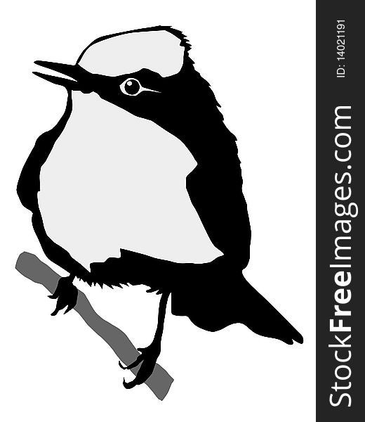 Silhouette Of Flycatcher