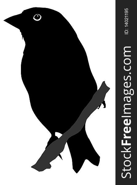 Vector black silhouette of greenfinch