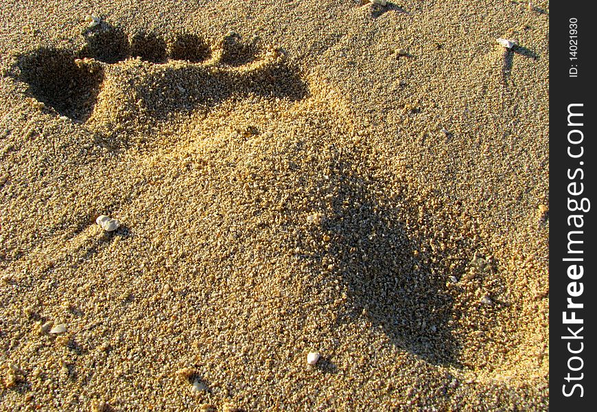 Footprint on a sandy beach