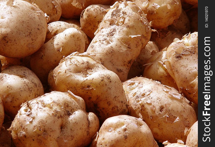 A background of a few potatoes. A background of a few potatoes