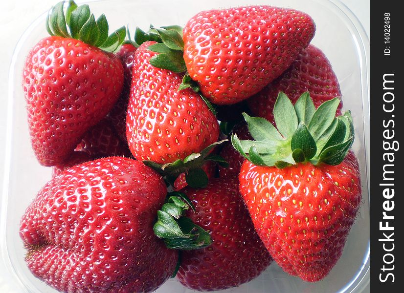 Close up view of some Strawberries in a plastic cage