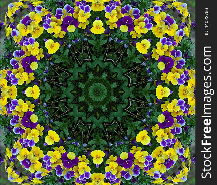 Yellow and purple viola flowers kaleidoscope. Yellow and purple viola flowers kaleidoscope.