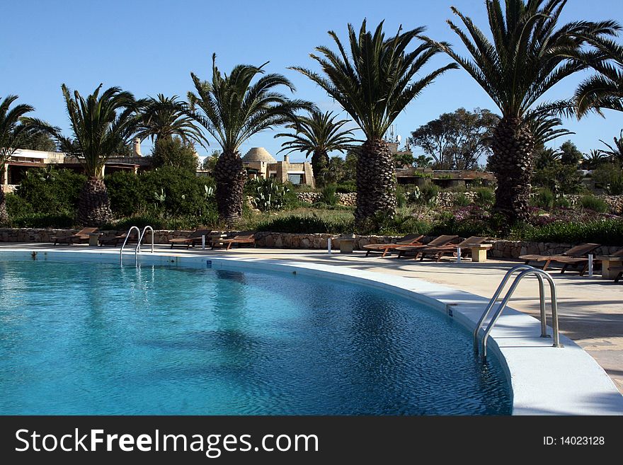 Poolside with palm trees and sunbeds. Poolside with palm trees and sunbeds