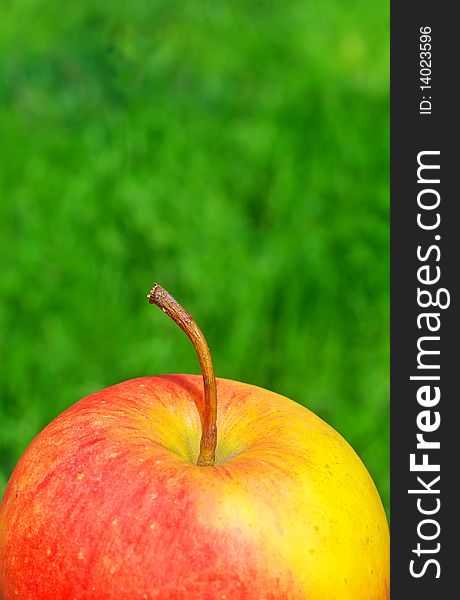 Fresh red apple on green background