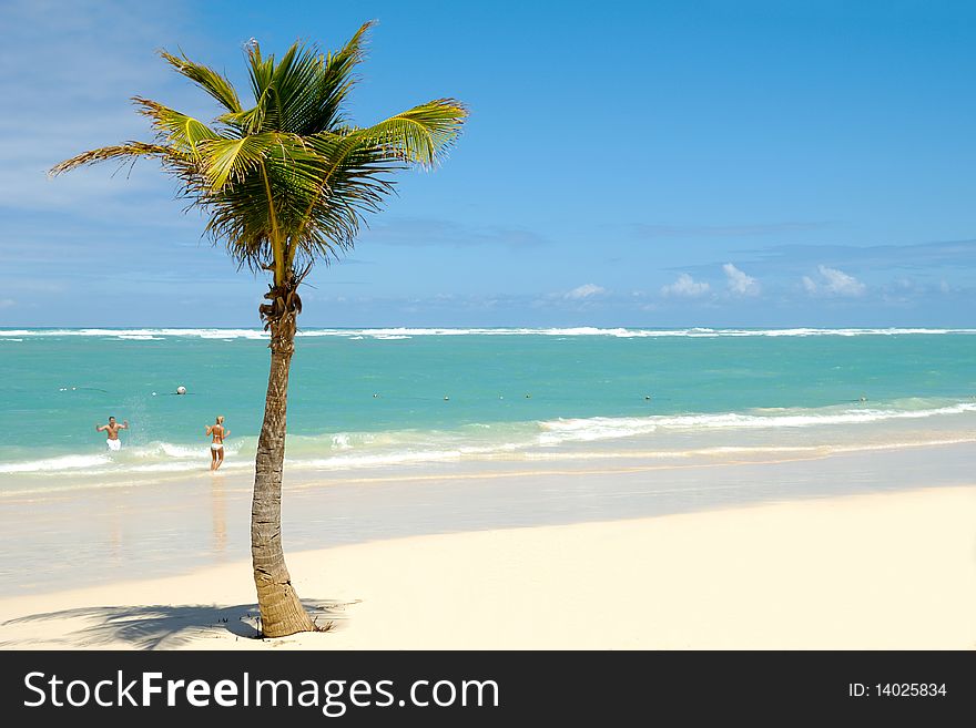 Palm on exotic caribbean beach with the coast in the background. In the water a man and a woman is going to swim. Palm on exotic caribbean beach with the coast in the background. In the water a man and a woman is going to swim.