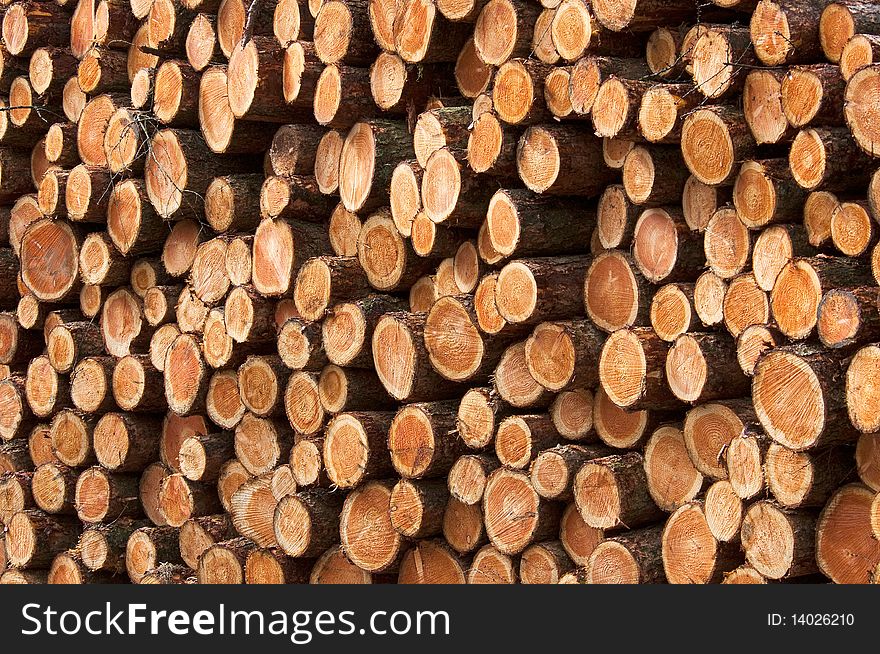A background of cut wood piles
