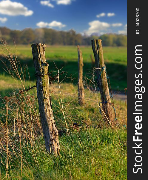 Rural landscape with a fence