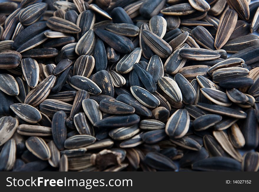 A handful of sunflower seeds