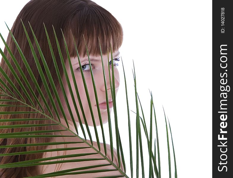 Pretty face of woman hiding behind the big green palm leaf. Pretty face of woman hiding behind the big green palm leaf