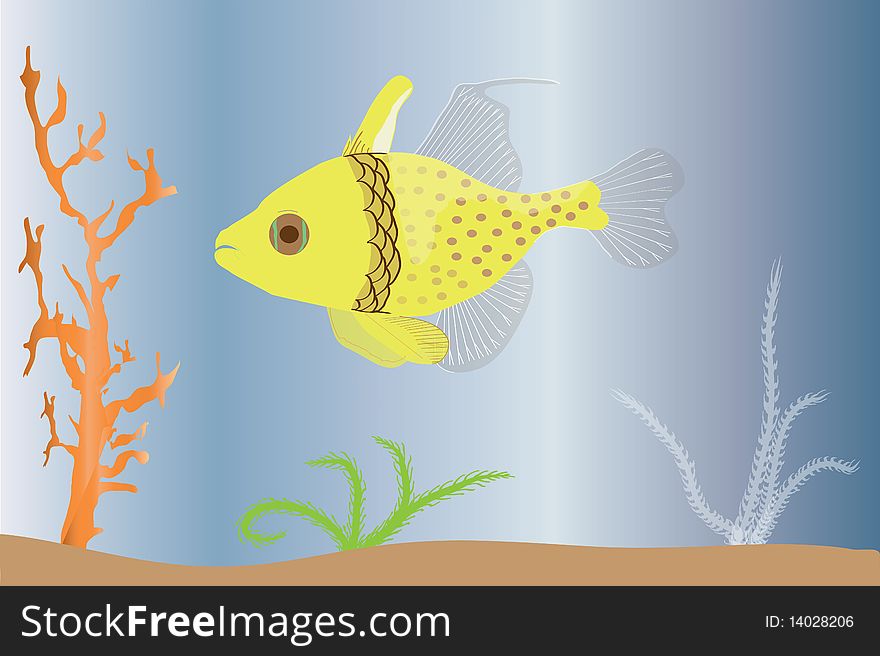 Illustration of a cardinal fish with coral and weeds and a blue background.