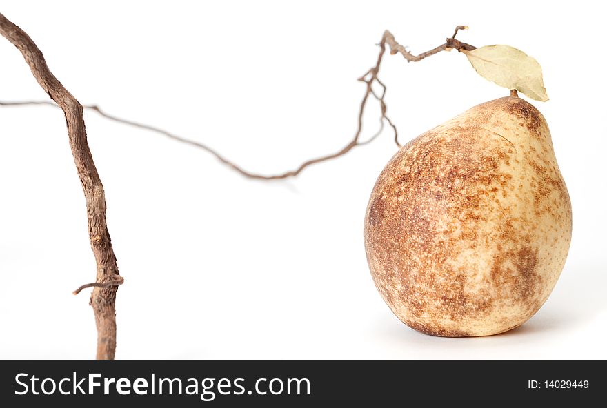 Pear on the branch on a white