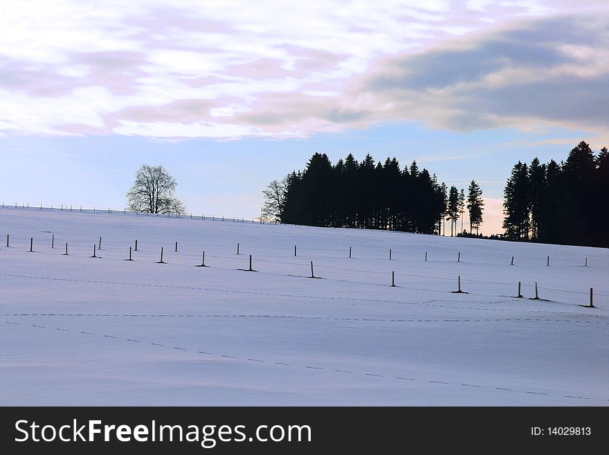 Winter sunset in Bavaria. Field and trees silhouette. Winter sunset in Bavaria. Field and trees silhouette.