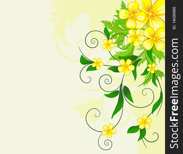Floral background, illustration with copy space area