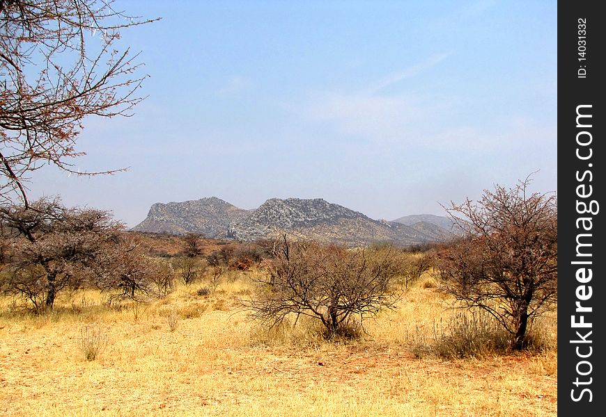 Dry season landscape in Namibia. Dry season landscape in Namibia