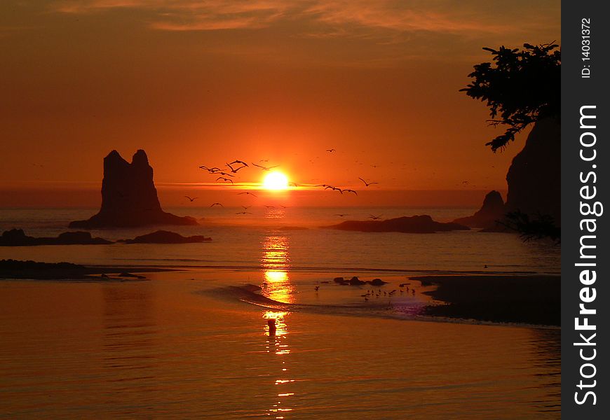 This is a picture of the LaPush, Washington Coastline at sunset. This is a picture of the LaPush, Washington Coastline at sunset