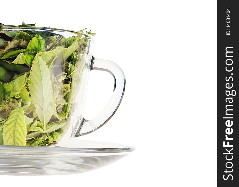Leaves In Cup