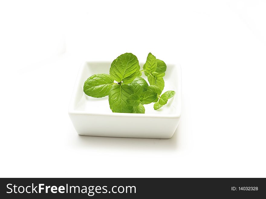 Fresh mint leaves in the white bowl