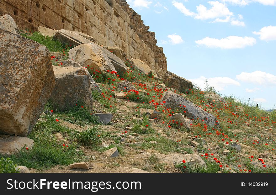 Piece of wall in Pasargadae near Persepolis, Iran