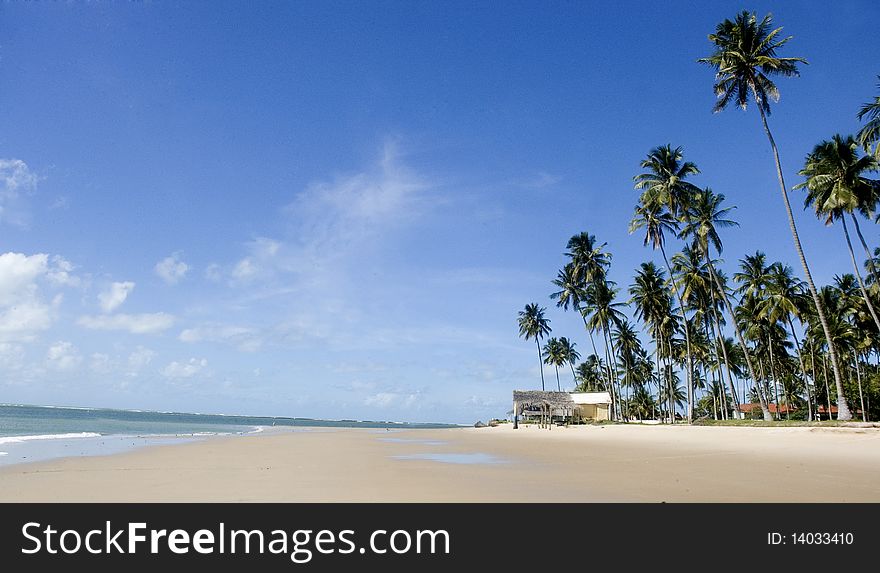 Beautiful day at the beach with blue sky, sand and coconut trees. Beautiful day at the beach with blue sky, sand and coconut trees