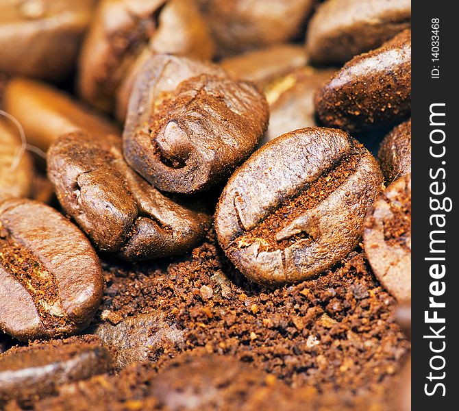 Coffee beans close up photo.