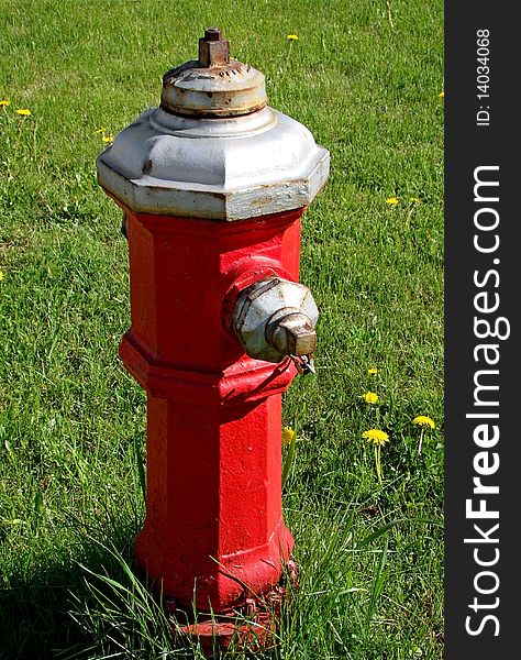 Vertical Bright red fire hydrant on grass