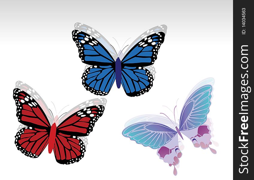 This image is a illustration many different butterflies  design