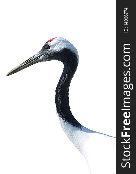 Protected areas of red-crowned crane