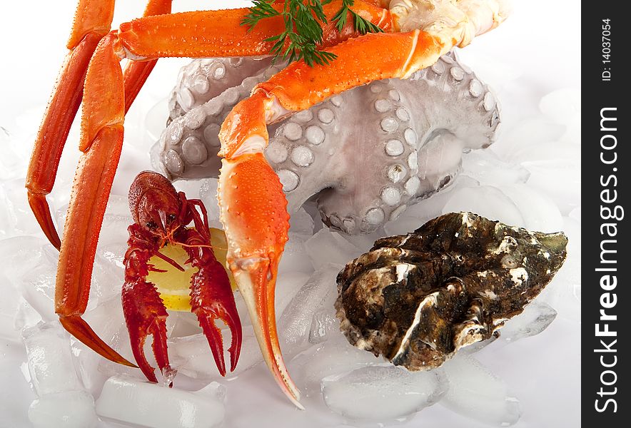 Seafood served on ice, marine food for gourmets