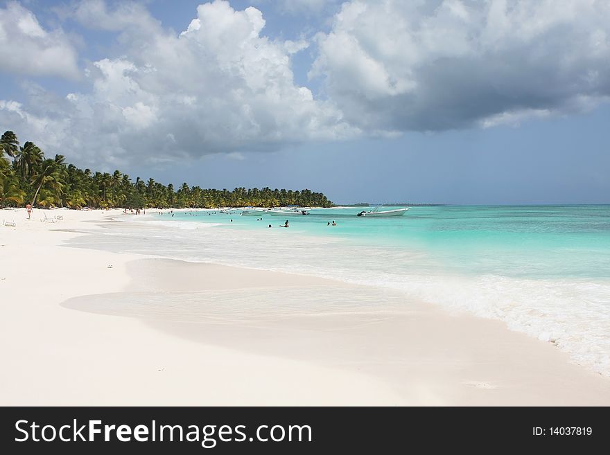 Saona beach in dominicam republic