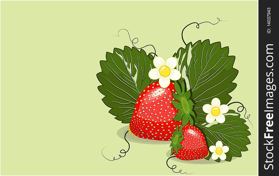 Strawberry bush with ripe berries and flowers. Strawberry bush with ripe berries and flowers