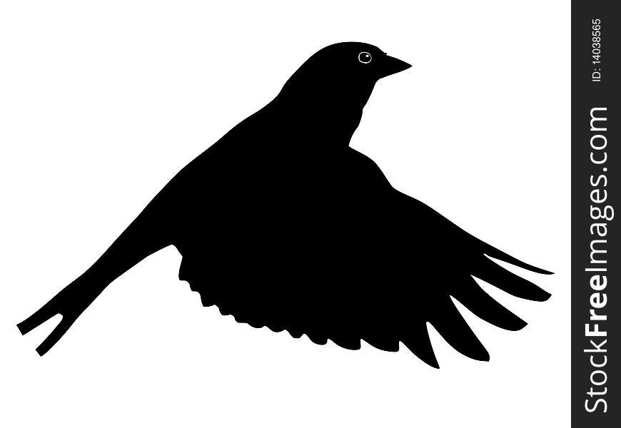 Vector black silhouette of chaffinch