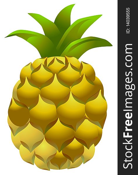 Illustration drawing of a pineapple isolate in white background