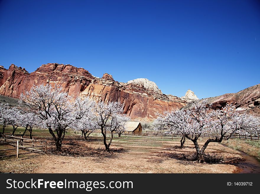 View of the red rock formations in Capitol Reef National Park with blue skyï¿½s and cloudse