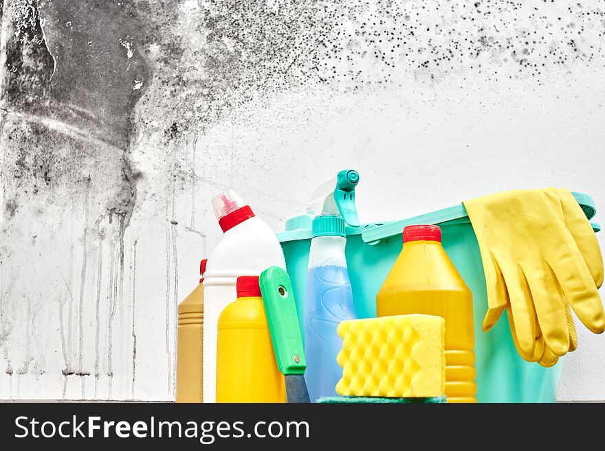 Mold. Aspergillus. Detergents, household gloves, a sponge, a bucket on a white wall background with a black fungus