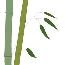 Bamboo Illustration Stock Images Bamboo Illustration Stock Images