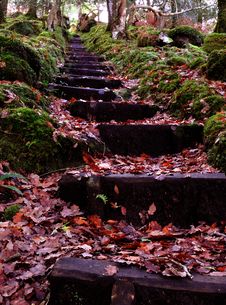 Autumn Steps Stock Photography Autumn Steps Stock Photography